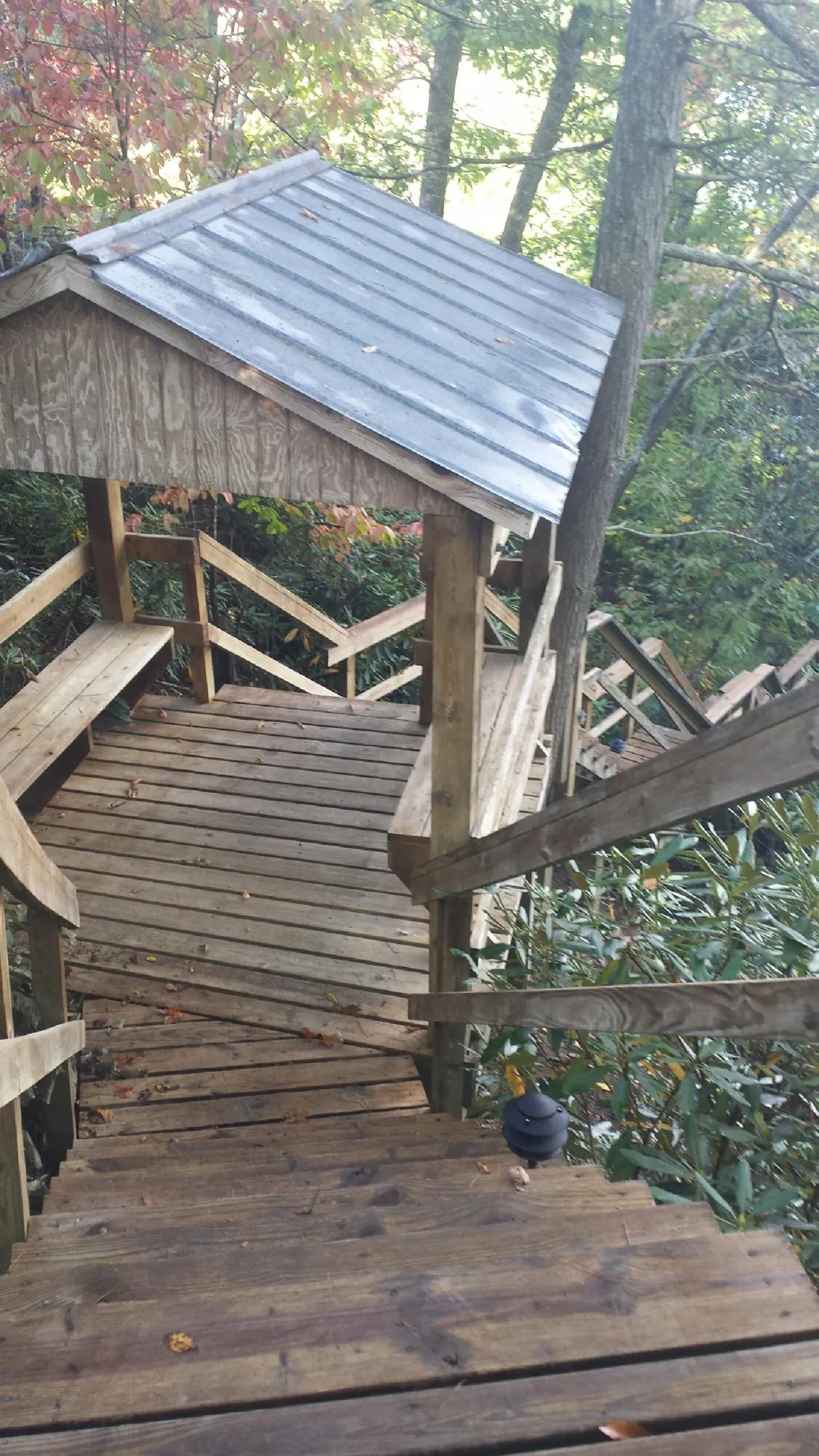 Metal roofed shelter over wooden steps on a wooded walkway — Skylight Repair & Installation work by our crew in Blenheim